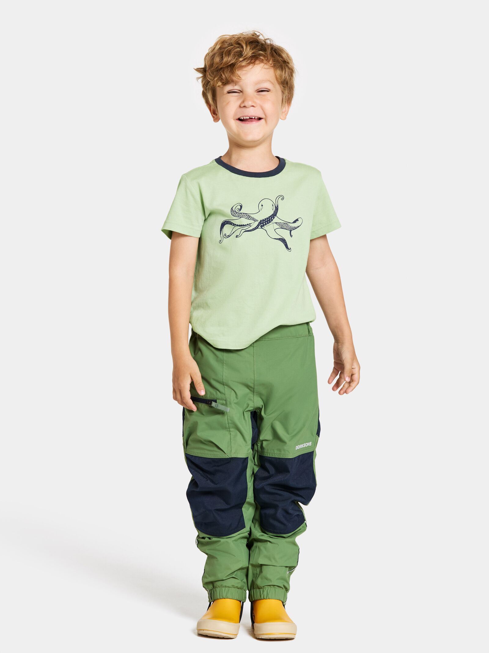 Algae Green