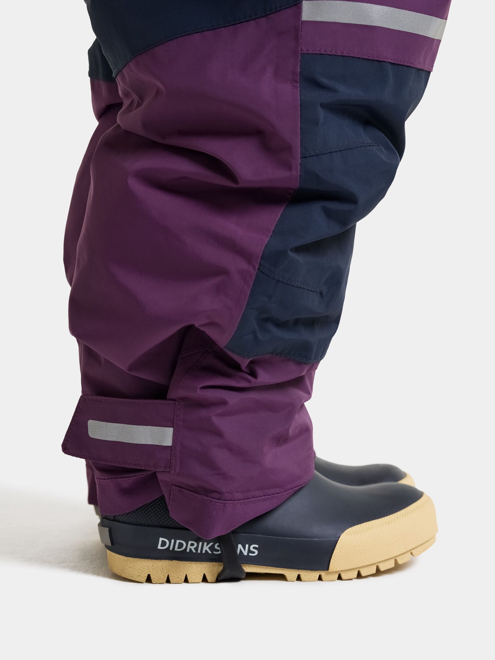 Northen Purple