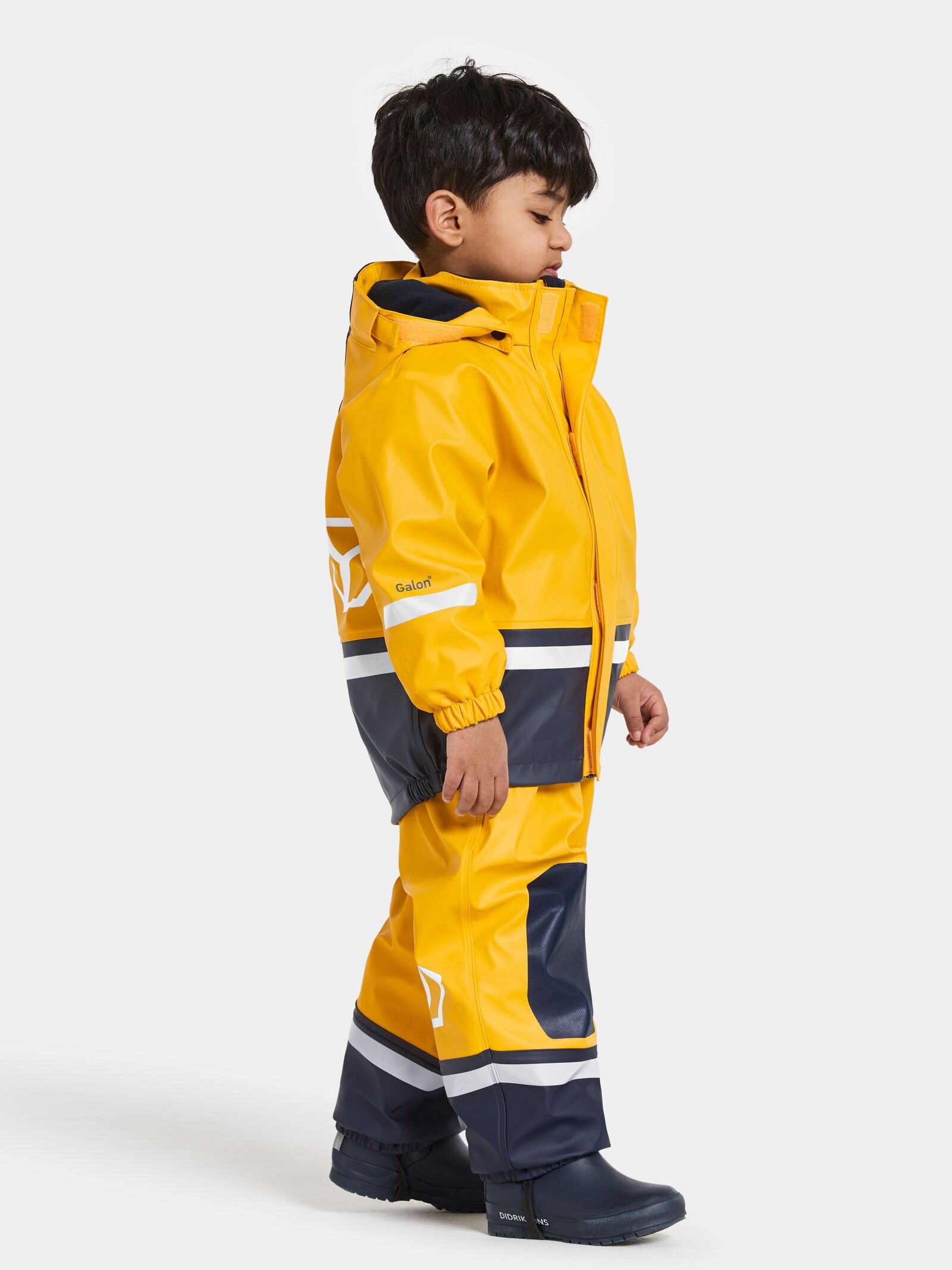 Oat Yellow