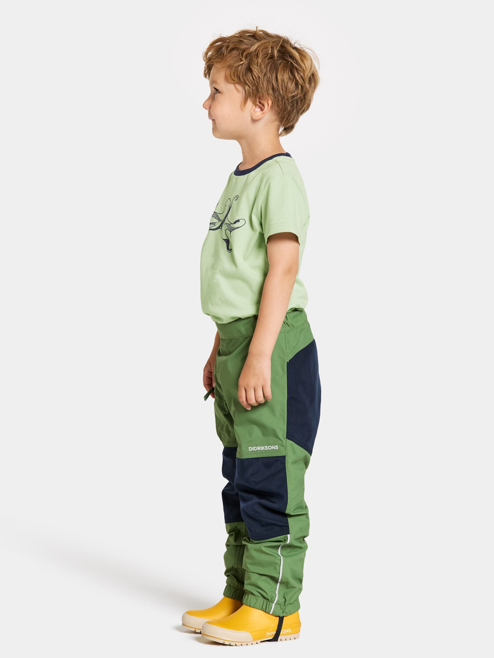 Algae Green