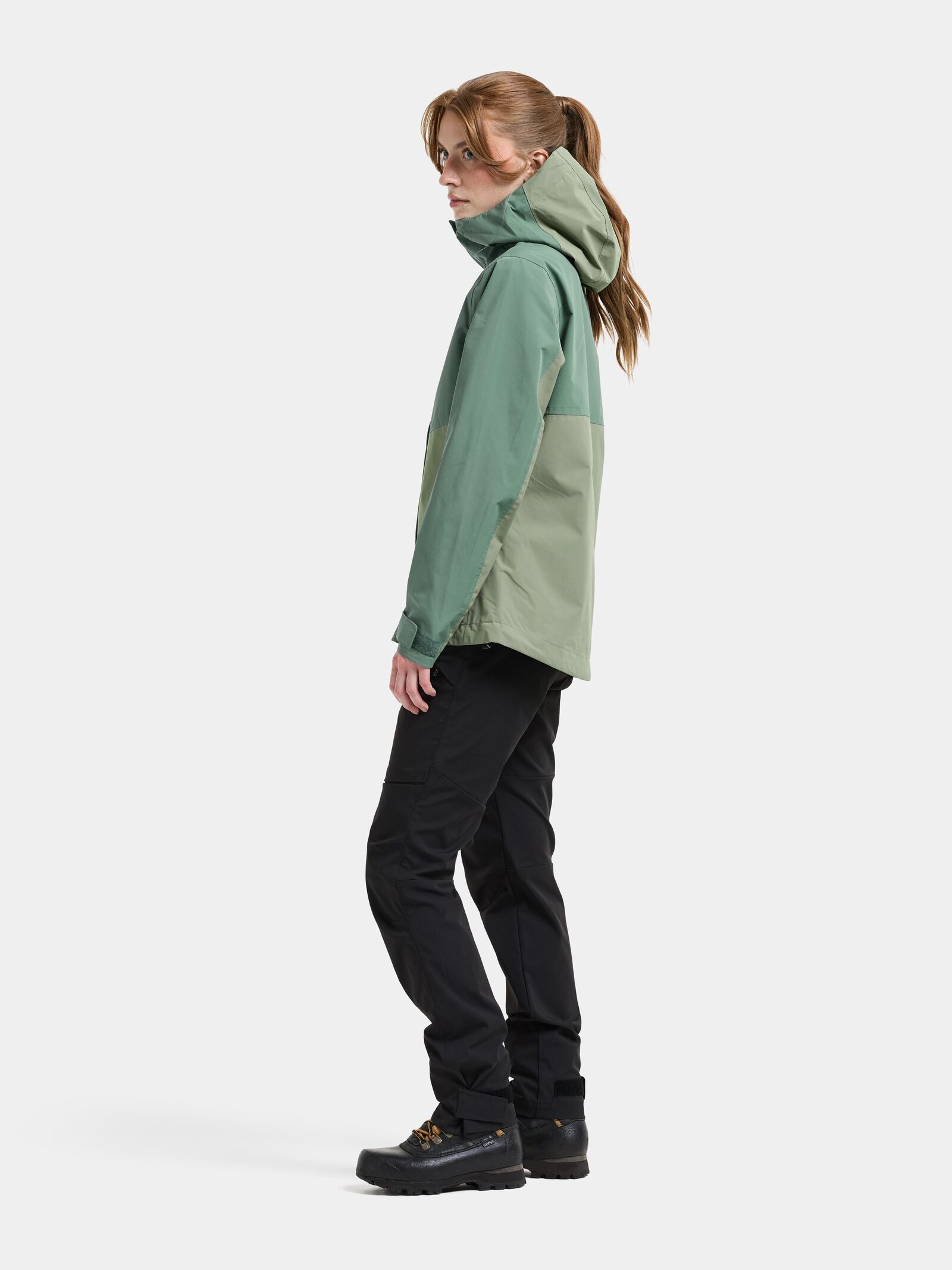 Light Moss