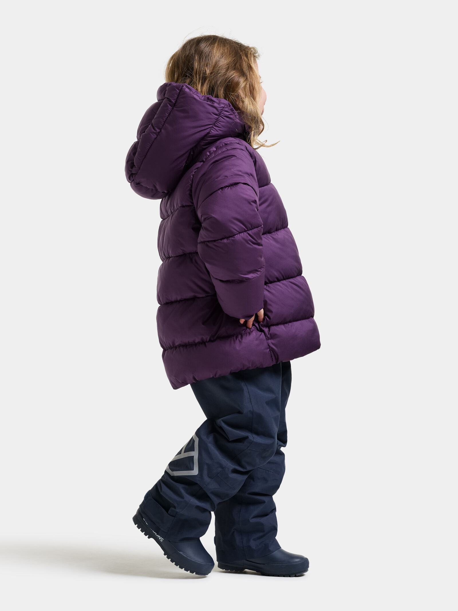 Northen Purple