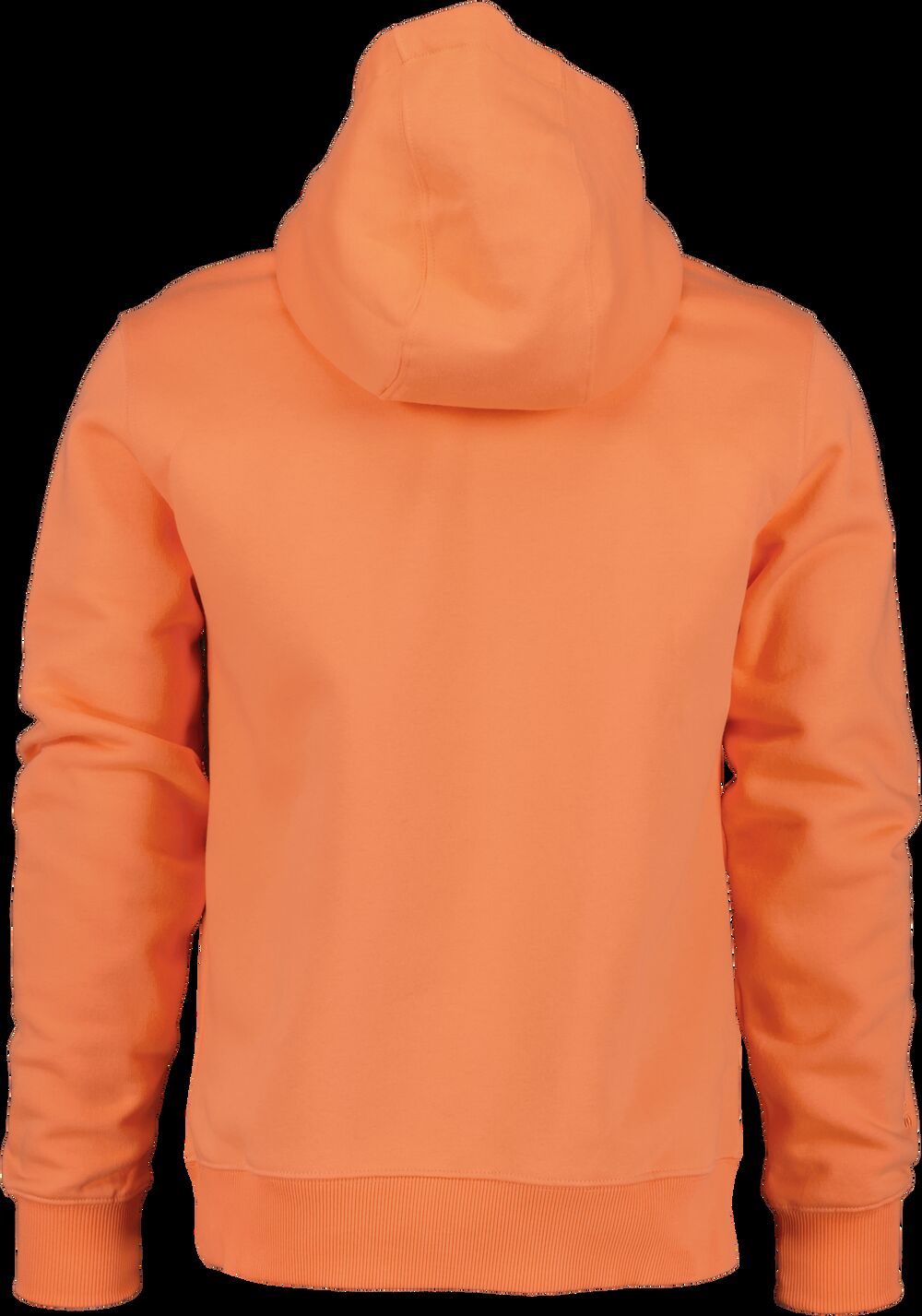 Cantaloupe