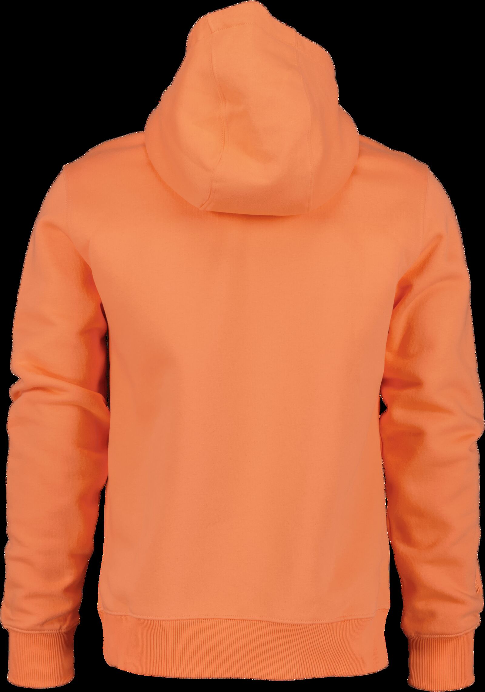 Cantaloupe