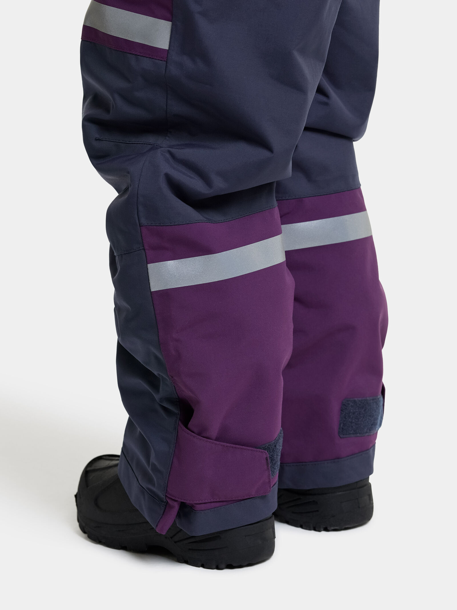 Northen Purple