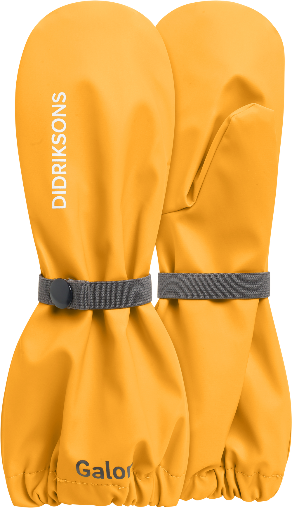 Oat Yellow