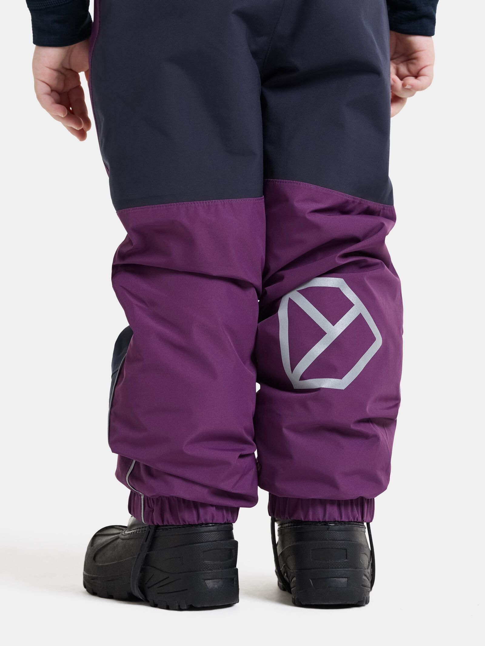 Northen Purple
