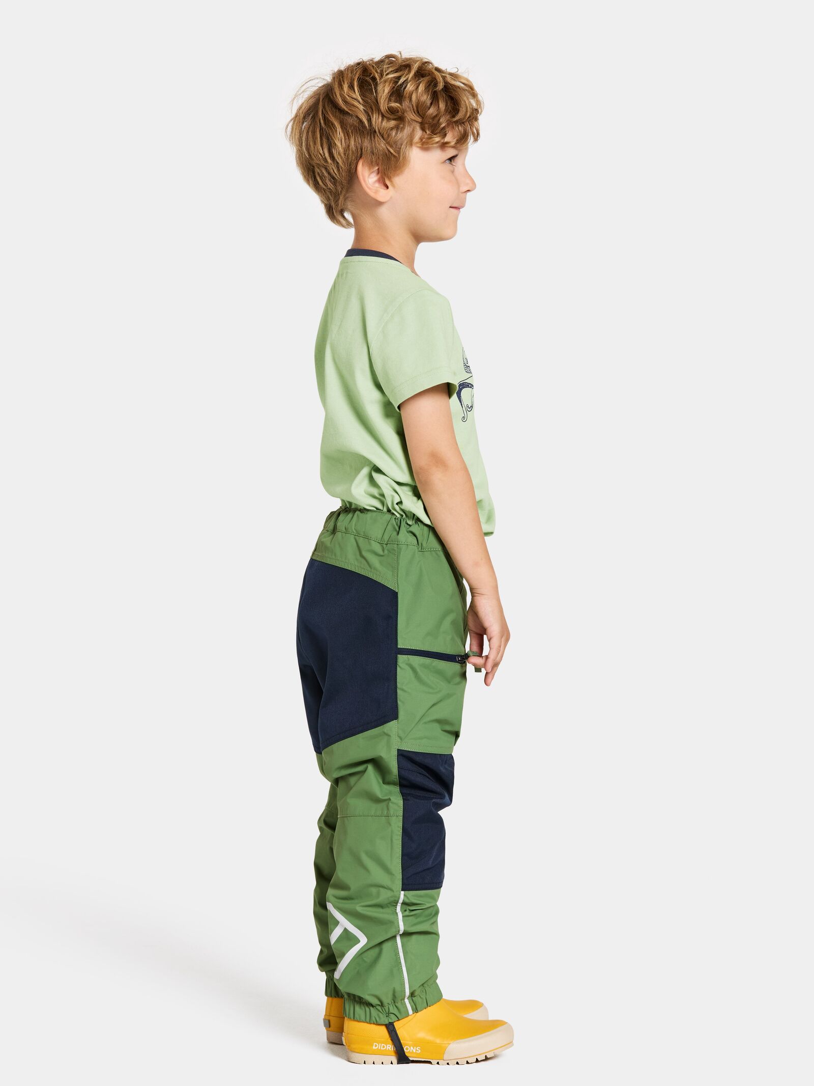 Algae Green