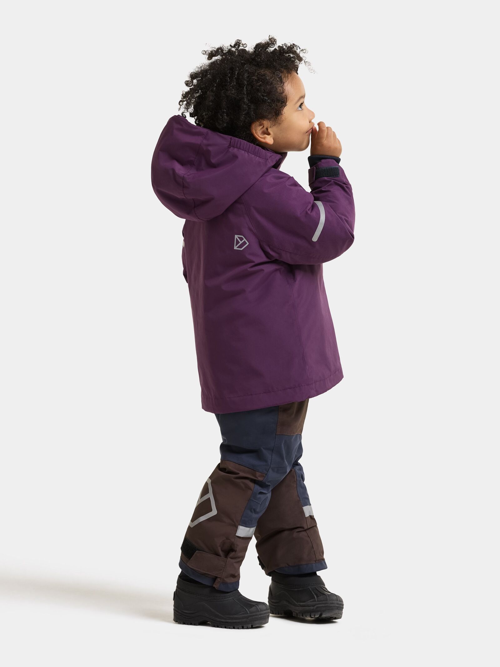 Northen Purple