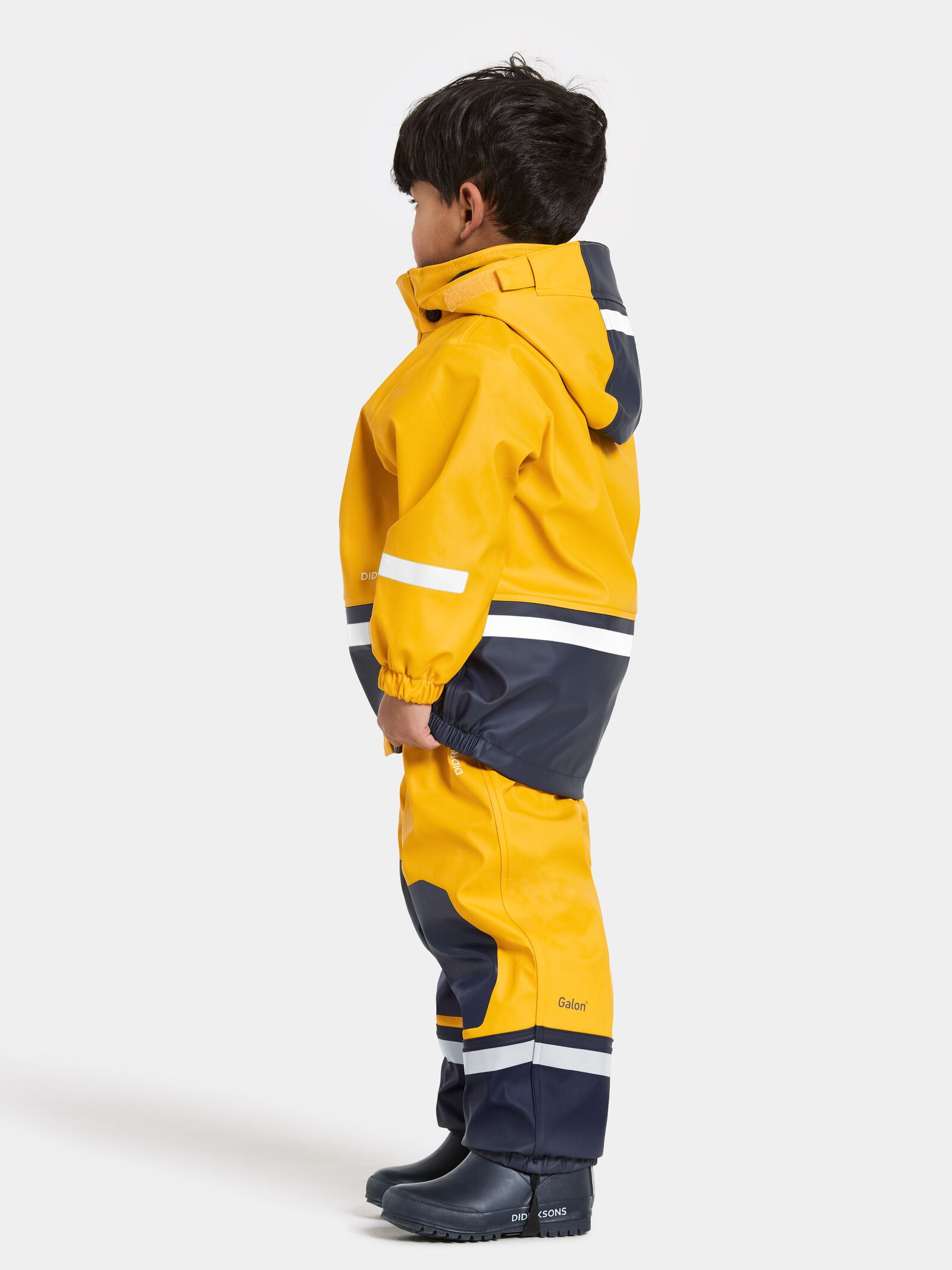 Oat Yellow