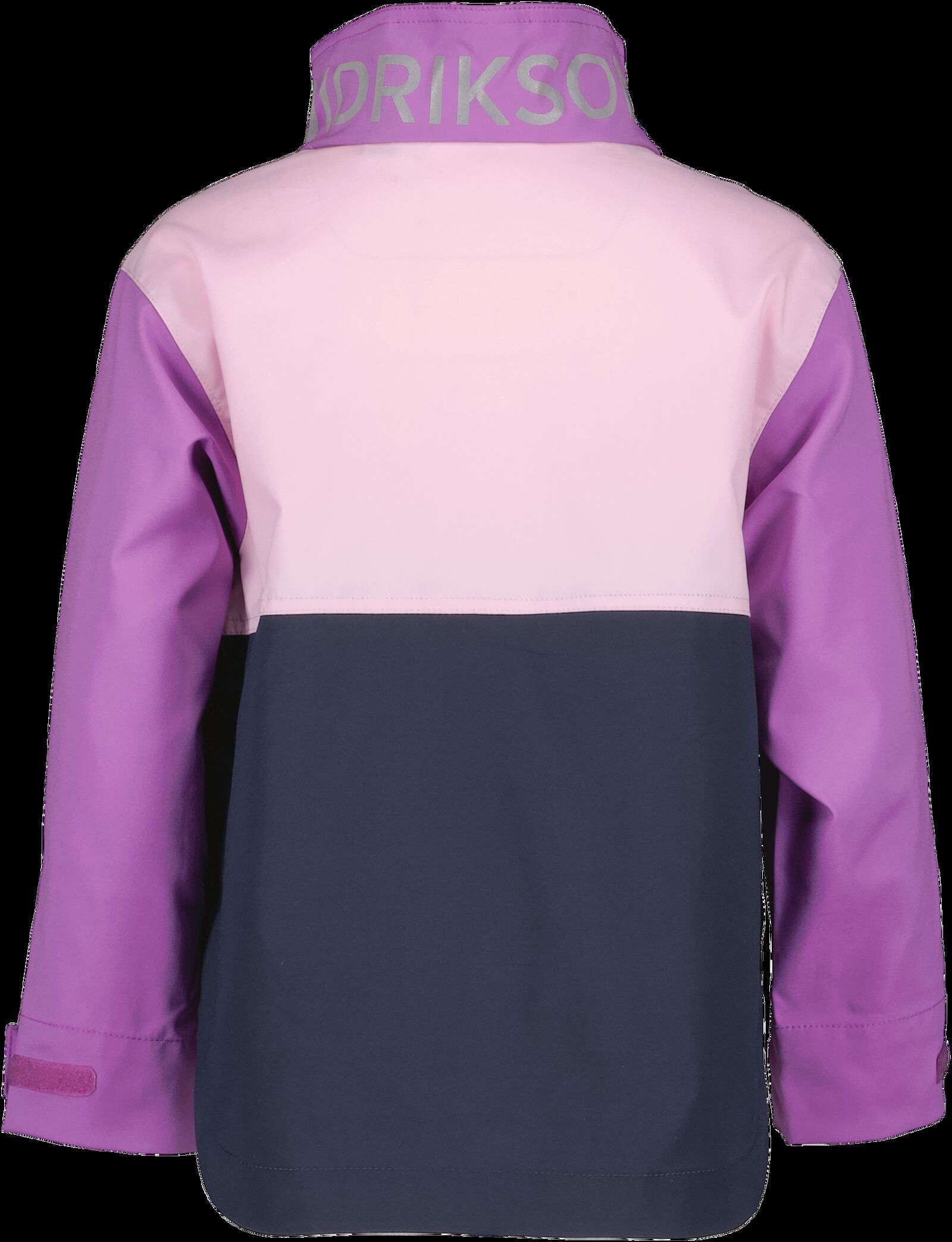 Tulip Purple