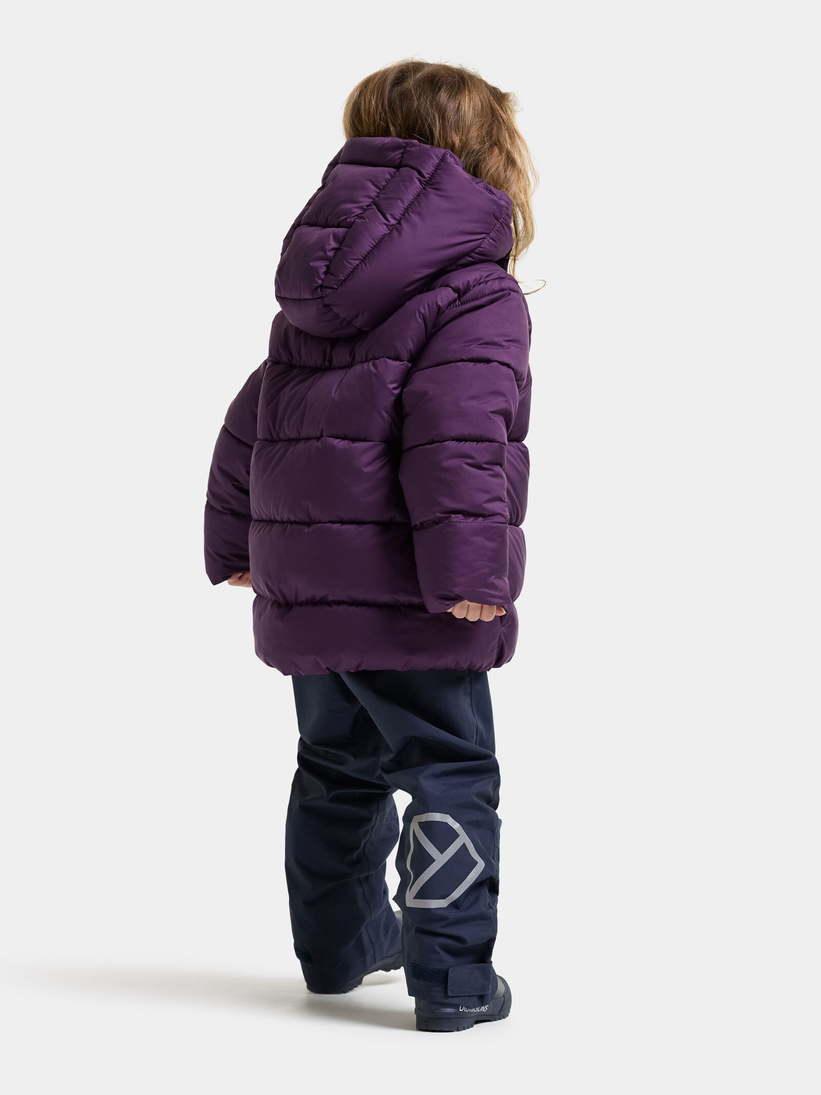 Northen Purple
