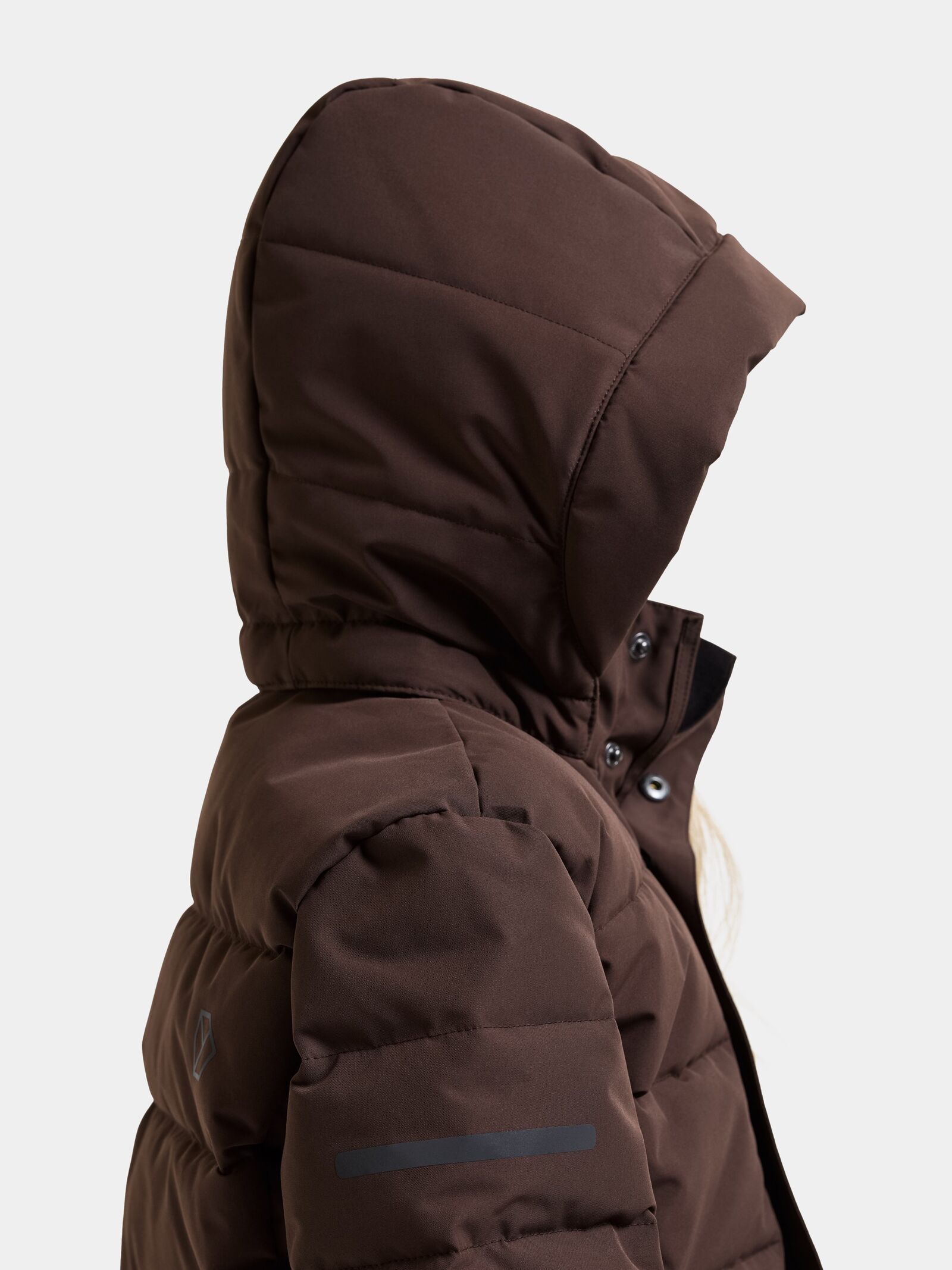 Shadow Brown