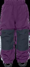 Northen Purple