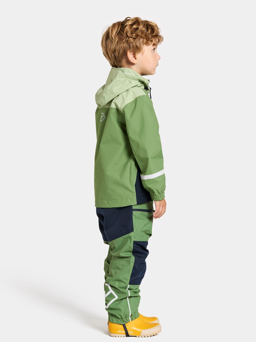 Light Algae Green
