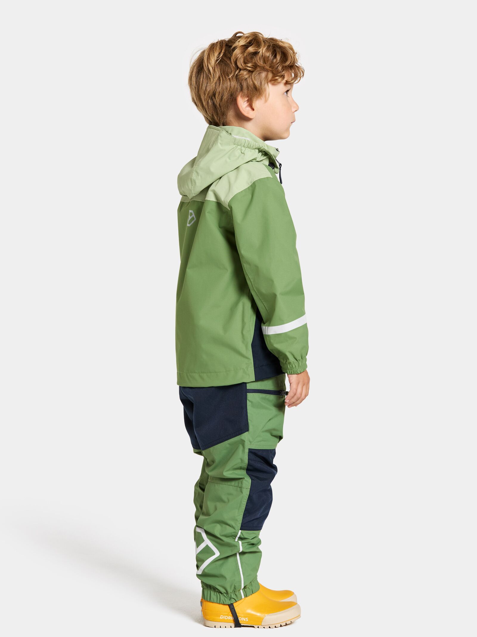 Light Algae Green