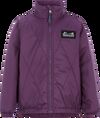 Northen Purple