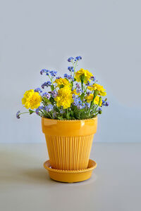 Simona Pot Yellow 16 cm
