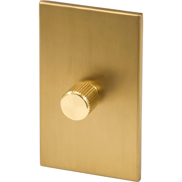 Single Rotary Wall dimmer Brass