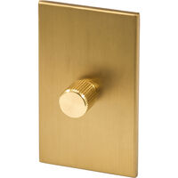 Single Rotary Wall dimmer Brass