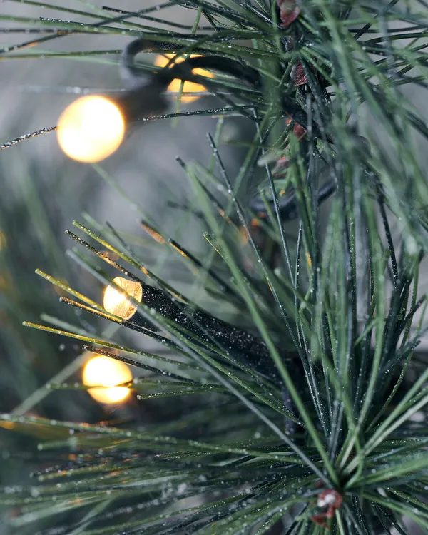 Peuce Juletræ Med LED-lamper Grønt