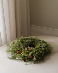 Pine Seppele