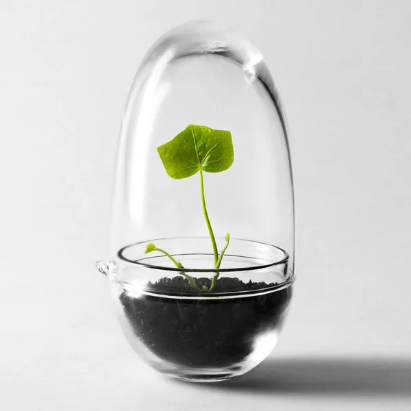 Grow Minidrivhus S Klar