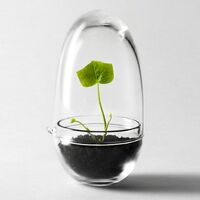 Grow Minidrivhus S Klar