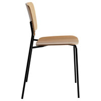 Mono Black Metal/ Lacquered Oak