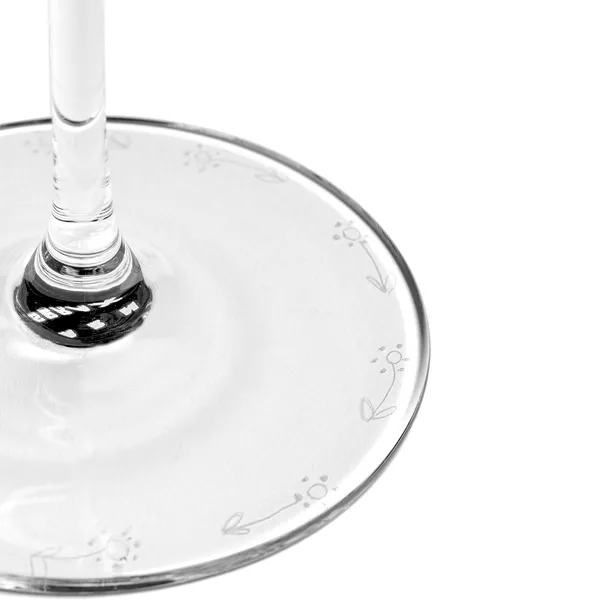 Midnight Flowers Champagneskål 24 cl Transparent