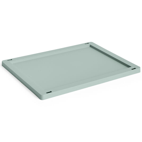 Colour Crate Plastic Medium Lokk Sage Green