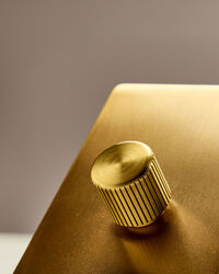 Single Rotary Wall dimmer Brass