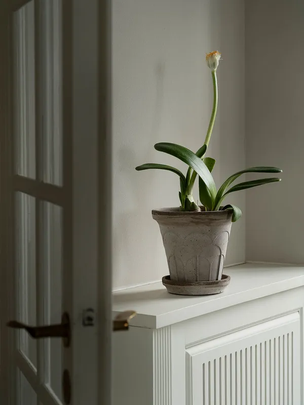 Fleur Ruukku 18 cm Harmaa