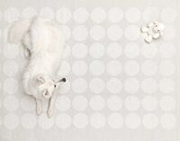 Hugo Teppe 70x320 cm Lin/Vanilla