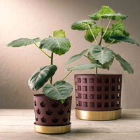 Trio Square Krukke Mørkerød Ø18 cm / Medium