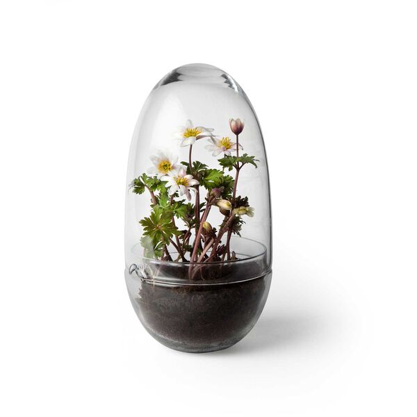 Grow Pienoiskasvihuone M Kirkas