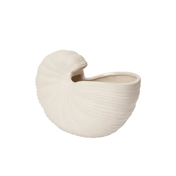 Shell Vase 23 cm