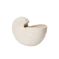 Shell Vase 23 cm