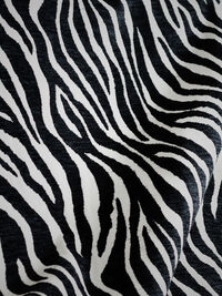 Le Petite Puff Zebra Sort / Hvit