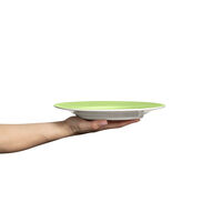 Basic Tallrik 25 cm Grön
