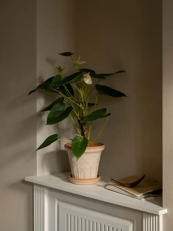 Fleur Krukke 16 cm Rosa