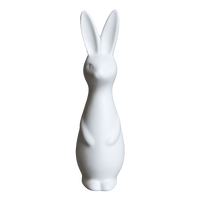 Swedish Rabbit Hvit