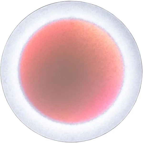 MoodMoon Vegg-/Taklampe 85 cm Rød