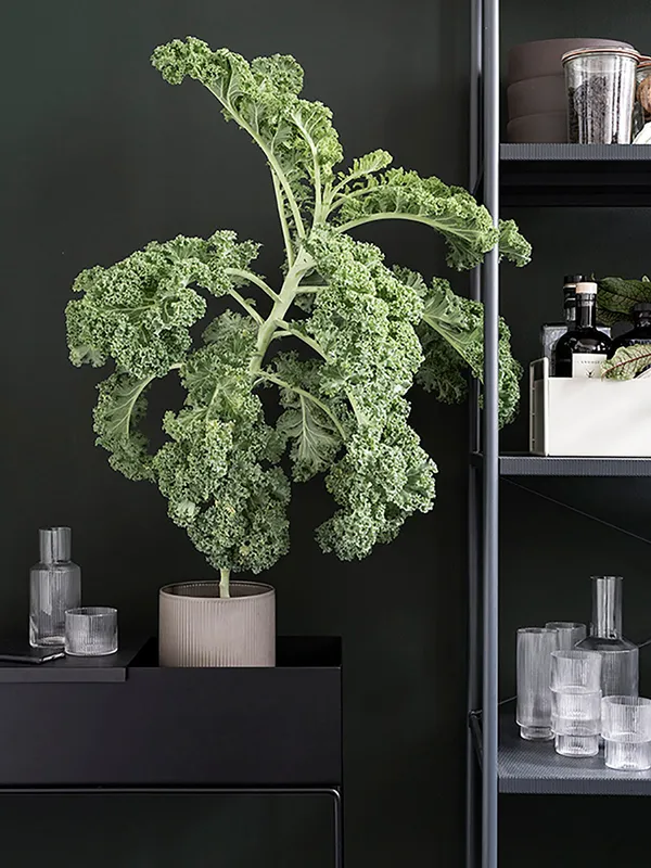 Plant Box Blomsterkasse 60x65 cm Sort