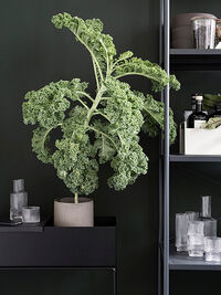 Plant Box Blomsterkasse 60x65 cm Sort