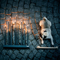 Elflugan Grande Lysestake Sort