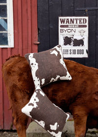 Anima Cow Pude 50x50 cm Brun