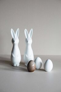 Swedish Rabbit Hvit