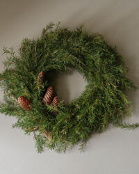 Pine Seppele
