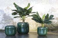 Costa Pot M D21 H21 Green